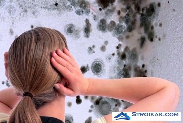 Как удалить грибок со стен